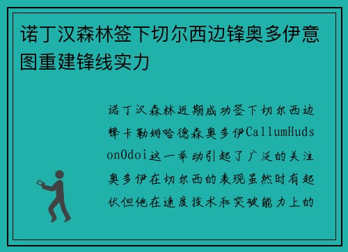 诺丁汉森林签下切尔西边锋奥多伊意图重建锋线实力